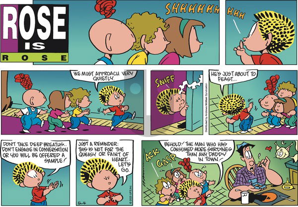 Rose is Rose on Sunday May 4, 2025 Comic Strip