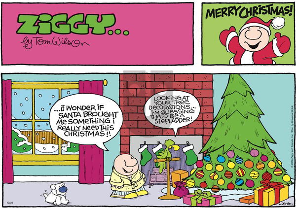 Ziggy - Sunday December 25, 2016 Comic Strip