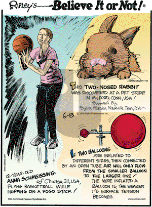 Ripley's Believe It or Not on Saturday June 13, 2009 Comic Strip