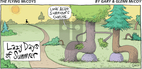 The Flying McCoys on Sunday July 25, 2010 Comic Strip