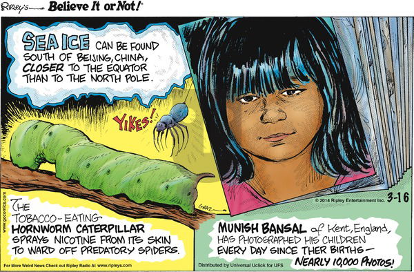 Ripley's Believe It or Not on Sunday March 16, 2014 Comic Strip