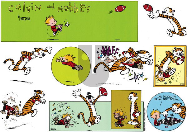 Calvin and Hobbes - Sunday September 10, 1989 Comic Strip
