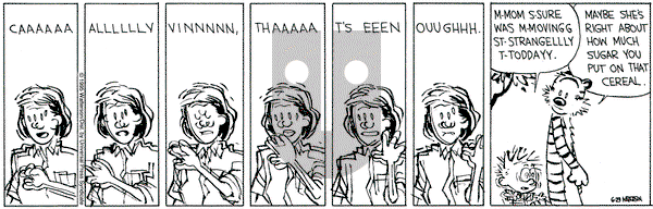 Calvin and Hobbes on Thursday June 29, 1995 Comic Strip
