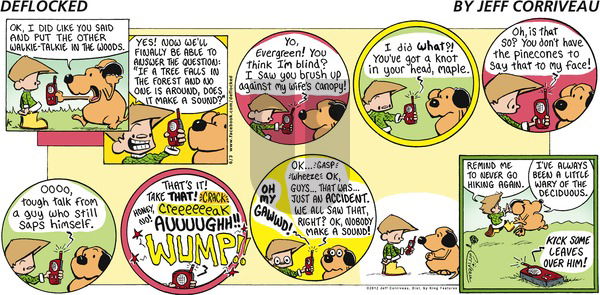 DeFlocked on Sunday June 3, 2012 Comic Strip