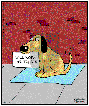 Half Full - Saturday January 25, 2014 Comic Strip