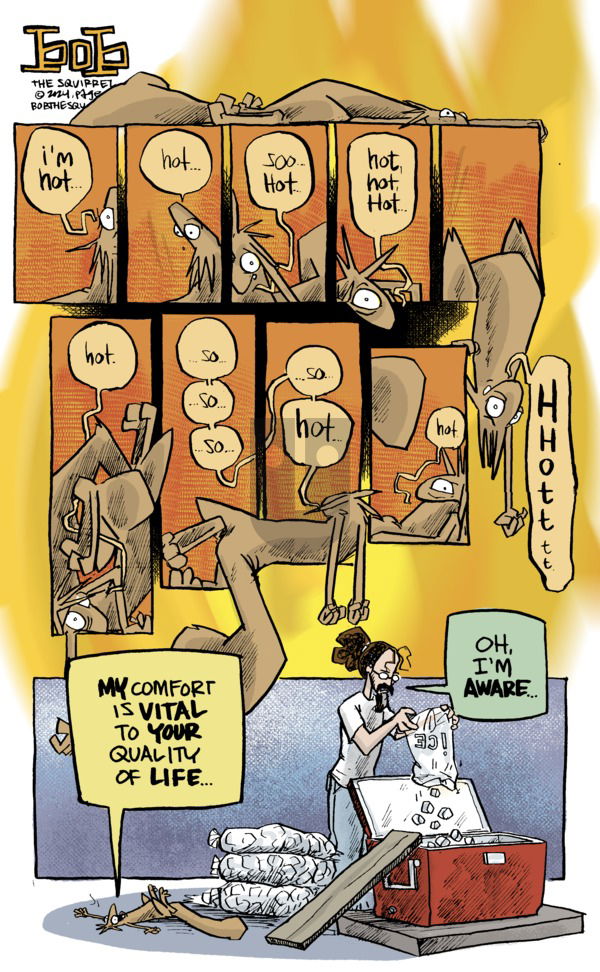 Bob the Squirrel - Sunday June 23, 2024 Comic Strip