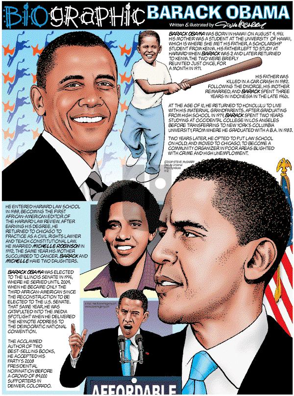 Biographic on Sunday November 2, 2008 Comic Strip