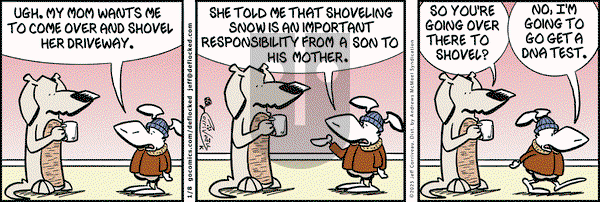 DeFlocked on Wednesday January 8, 2025 Comic Strip