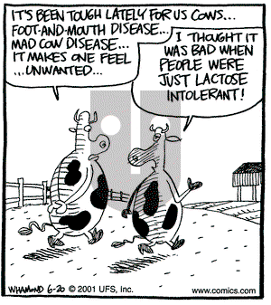 Reality Check on Wednesday June 20, 2001 Comic Strip