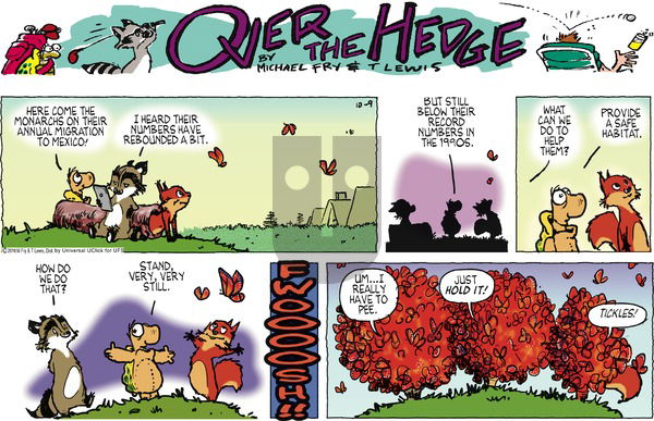 Over the Hedge on Sunday October 9, 2016 Comic Strip