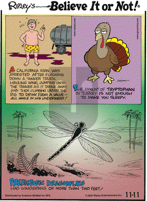 Ripley's Believe It or Not on Wednesday November 11, 2020 Comic Strip