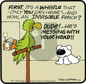 Ziggy on Monday June 6, 2016 Comic Strip