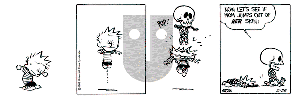 Calvin and Hobbes on Saturday February 25, 1989 Comic Strip
