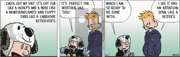 Frazz on Saturday December 7, 2019 Comic Strip
