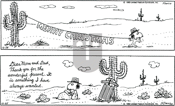Peanuts - Friday December 24, 1993 Comic Strip