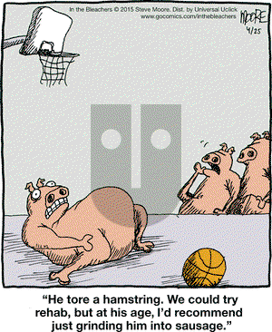 In the Bleachers on Saturday April 25, 2015 Comic Strip