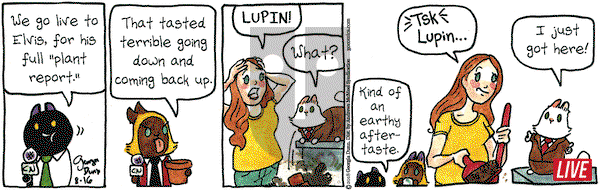Breaking Cat News on Thursday August 16, 2018 Comic Strip