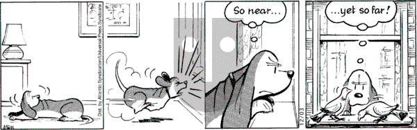 Fred Basset on Friday December 3, 2004 Comic Strip
