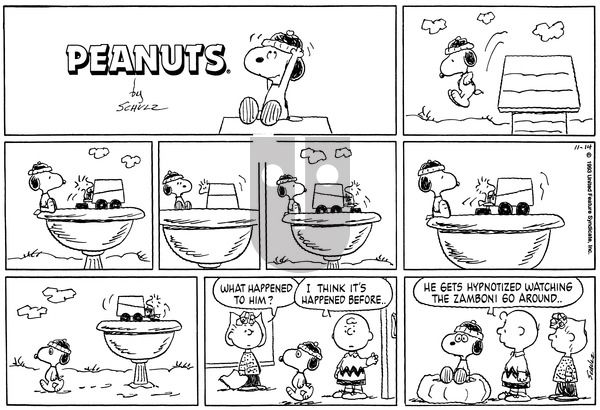 Peanuts on Sunday November 14, 1993 Comic Strip