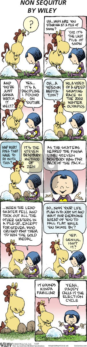 Non Sequitur on Sunday April 27, 2025 Comic Strip