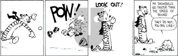 Calvin and Hobbes - Thursday February 17, 1994 Comic Strip