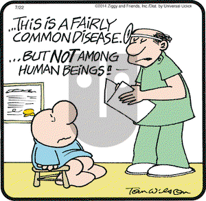 Ziggy on Tuesday July 22, 2014 Comic Strip