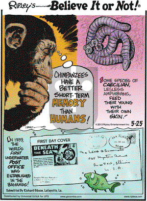Ripley's Believe It or Not on Saturday May 25, 2013 Comic Strip