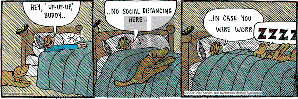 Overboard on Friday May 29, 2020 Comic Strip