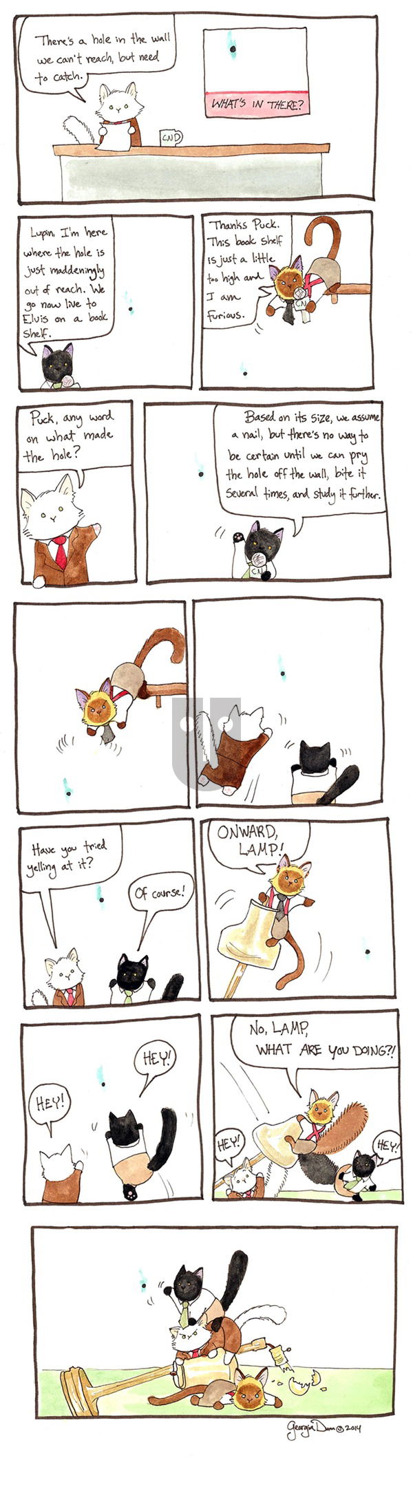 Breaking Cat News - Sunday September 25, 2016 Comic Strip