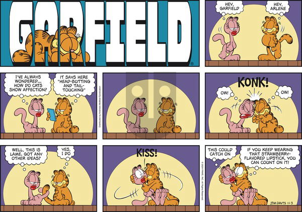 Garfield - Sunday November 3, 2024 Comic Strip