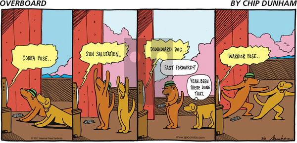 Overboard on Sunday March 11, 2007 Comic Strip