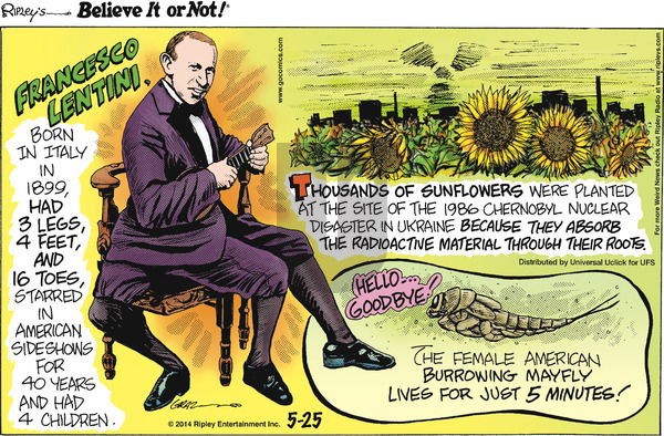 Ripley's Believe It or Not on Sunday May 25, 2014 Comic Strip