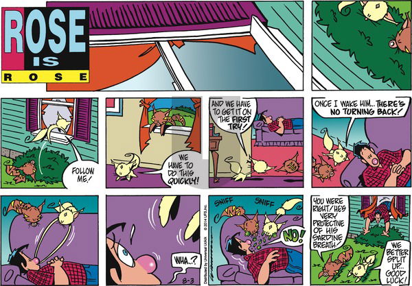 Rose is Rose on Sunday August 3, 2014 Comic Strip