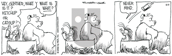 The Grizzwells on Friday August 9, 2002 Comic Strip