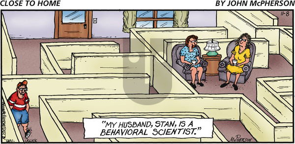 Close to Home on Sunday November 8, 2015 Comic Strip