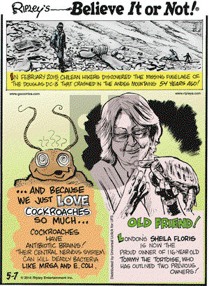 Ripley's Believe It or Not on Thursday May 7, 2015 Comic Strip