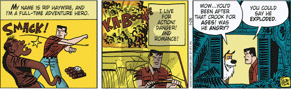 Rip Haywire - Monday January 5, 2009 Comic Strip
