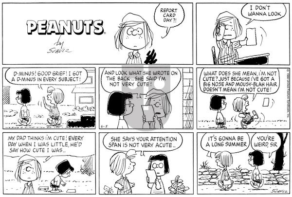 Peanuts on Sunday June 5, 1988 Comic Strip