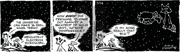 Over the Hedge on Friday July 14, 1995 Comic Strip