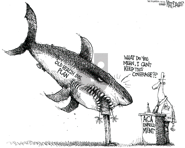 Matt Davies on Wednesday November 13, 2013 Comic Strip