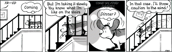 Fred Basset on Sunday May 25, 2003 Comic Strip
