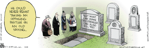 Non Sequitur on Friday August 28, 2015 Comic Strip