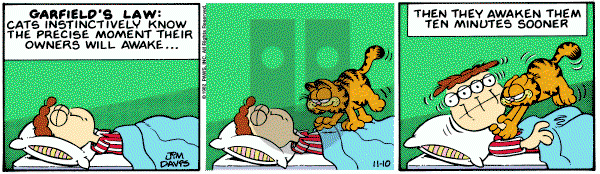 Garfield on Wednesday November 10, 1982 Comic Strip