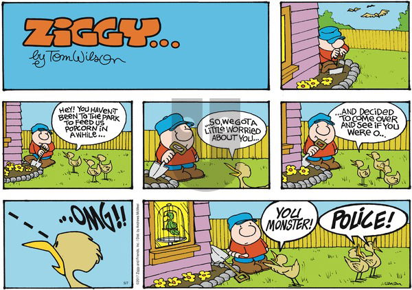 Ziggy on Sunday May 7, 2017 Comic Strip