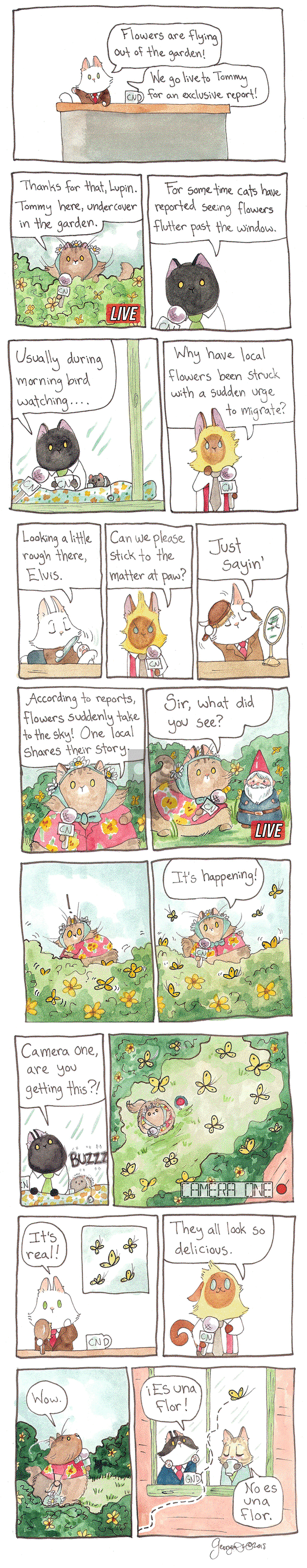 Breaking Cat News on Thursday February 4, 2016 Comic Strip