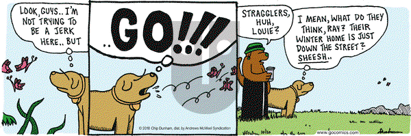 Overboard on Saturday October 20, 2018 Comic Strip