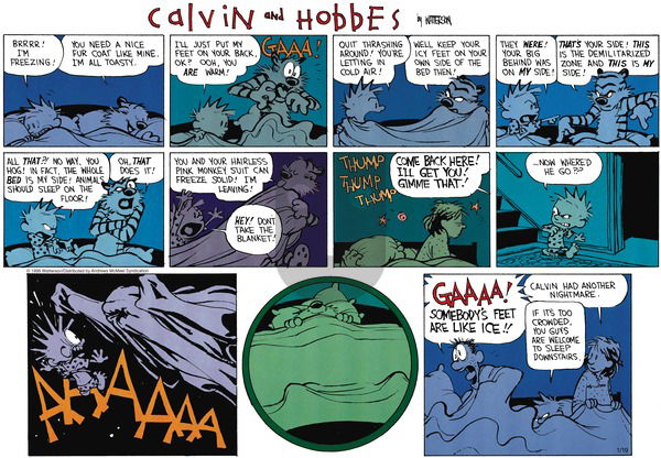 Calvin and Hobbes on Sunday January 19, 2025 Comic Strip