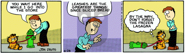 Garfield on Friday June 26, 1981 Comic Strip