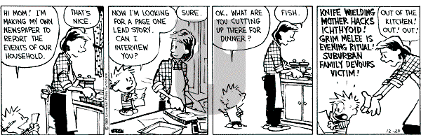 Calvin and Hobbes - Wednesday December 20, 1989 Comic Strip