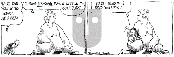 The Grizzwells on Thursday November 2, 2006 Comic Strip